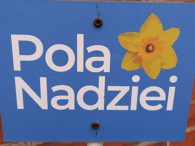 Grafika Gr. III Pola Nadziei